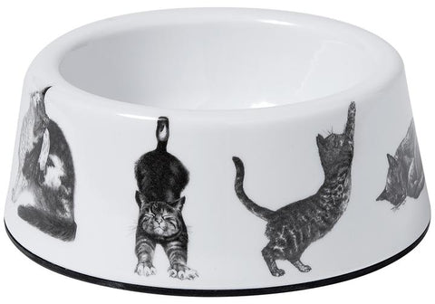 Ashdene Casual Cats Small Pet Bowl